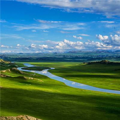推动黄河流域生态保护和高质量发展（财经眼·坚持绿色低碳发展，强化财税金融支撑）
